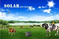 Solar gps tracker for big dog reachfar V26 mini gps tracker suitable for cattle tracking