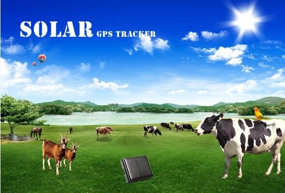 Long battery life solar powered cow gps tracker animal reachfar rf-v26